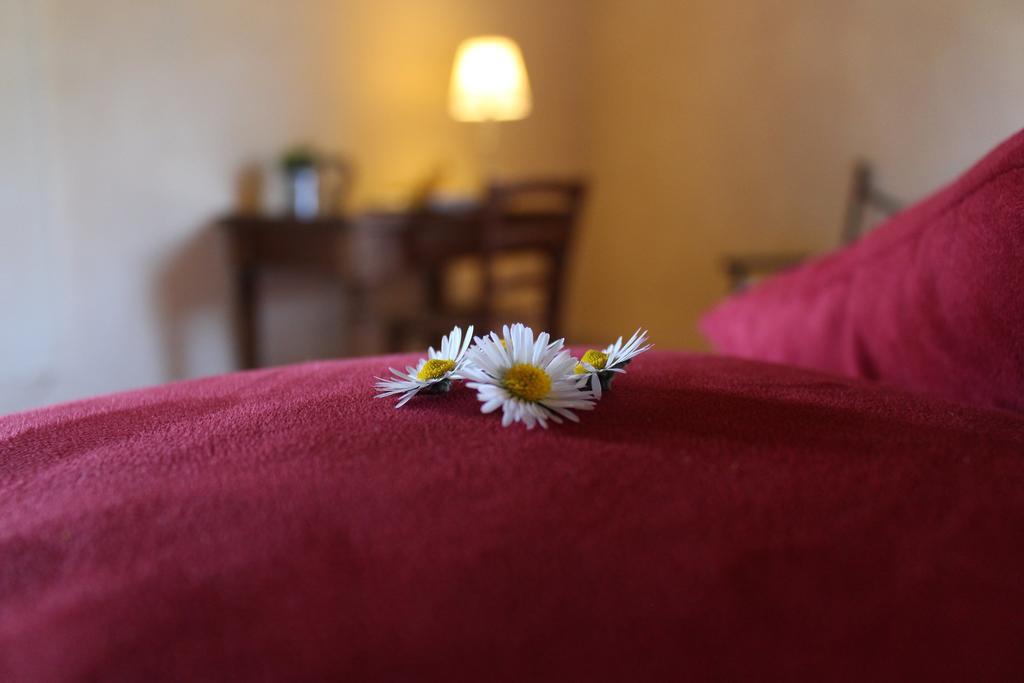 Agriturismo Casavecchia Figline Valdarno Εξωτερικό φωτογραφία